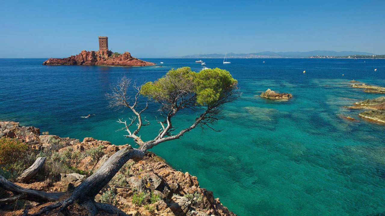 Appartement Zen A Frejus Avec Jardin, Piscine, Tennis, Proche Mer 외부 사진